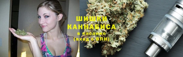 трава Козельск