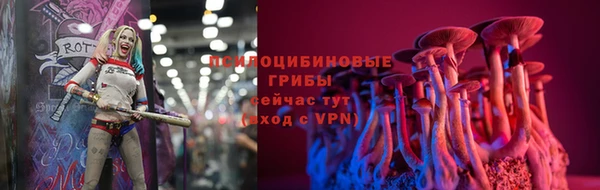 прущий лед Фёдоровский