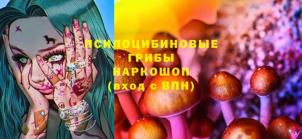 ГАЛЛЮЦИНОГЕННЫЕ ГРИБЫ Кодинск