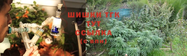 ГАЛЛЮЦИНОГЕННЫЕ ГРИБЫ Кодинск