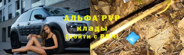 трава Козельск