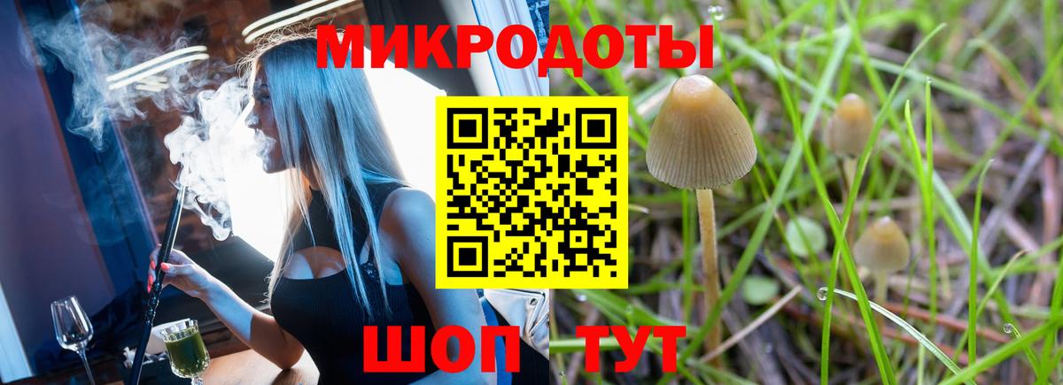 Новочеркасск  Псилоцибиновые грибы Psilocybine cubensis  Вход с VPN 